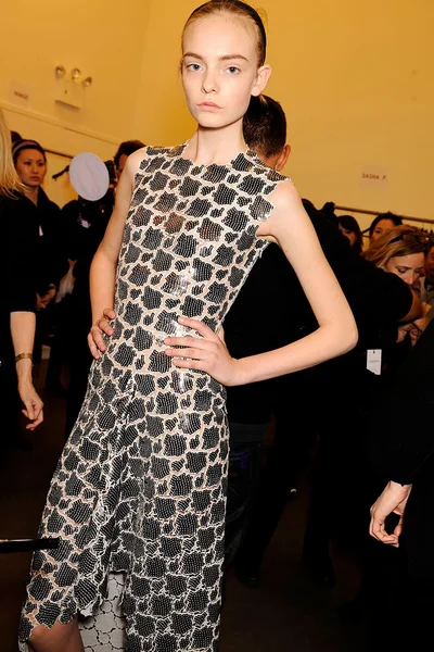 Look 27
